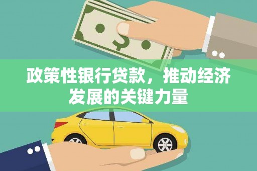 埔里政策性银行贷款，推动经济发展的关键力量