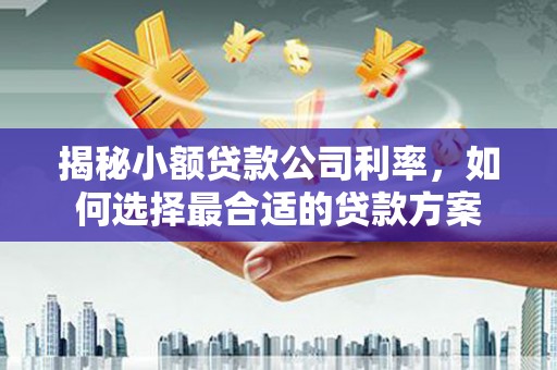 埔里揭秘小额贷款公司利率，如何选择最合适的贷款方案