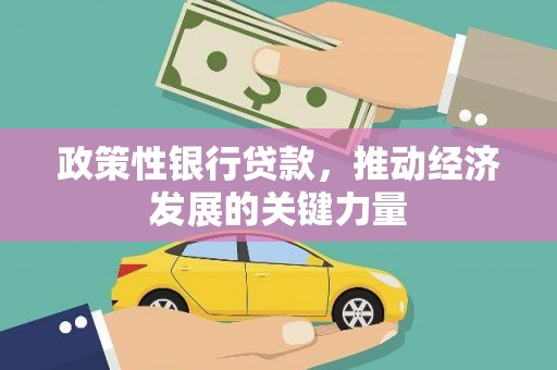 埔里政策性银行贷款，推动经济发展的关键力量