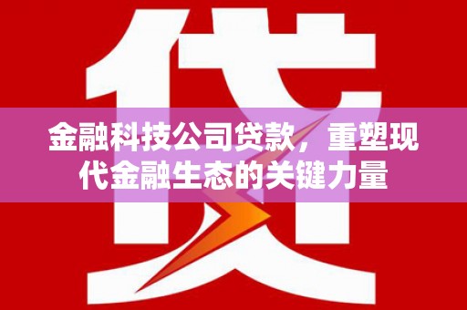 埔里金融科技公司贷款，重塑现代金融生态的关键力量
