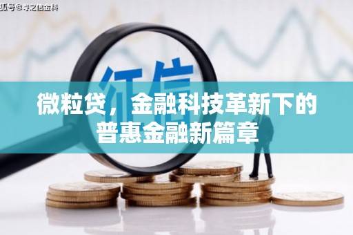 埔里微粒贷，金融科技革新下的普惠金融新篇章