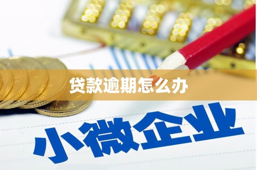埔里贷款逾期怎么办