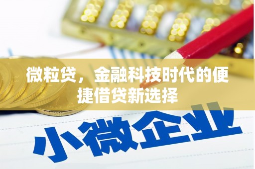埔里微粒贷，金融科技时代的便捷借贷新选择