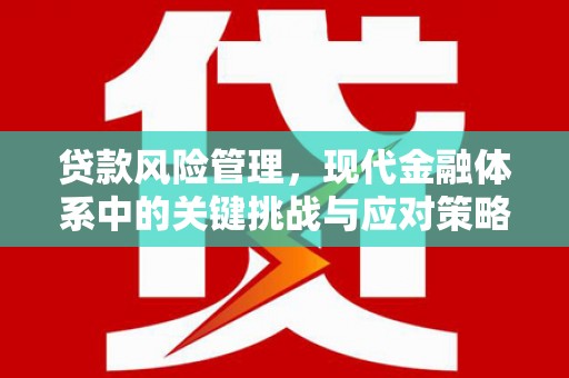 埔里贷款风险管理，现代金融体系中的关键挑战与应对策略