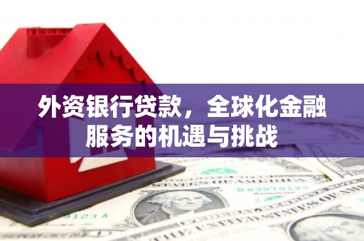 埔里外资银行贷款，全球化金融服务的机遇与挑战