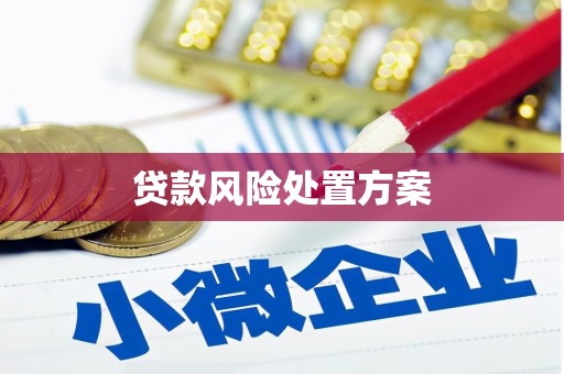埔里贷款风险处置方案