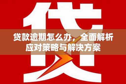 埔里贷款逾期怎么办，全面解析应对策略与解决方案