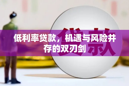 埔里低利率贷款，机遇与风险并存的双刃剑