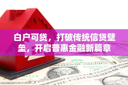 埔里白户可贷，打破传统信贷壁垒，开启普惠金融新篇章