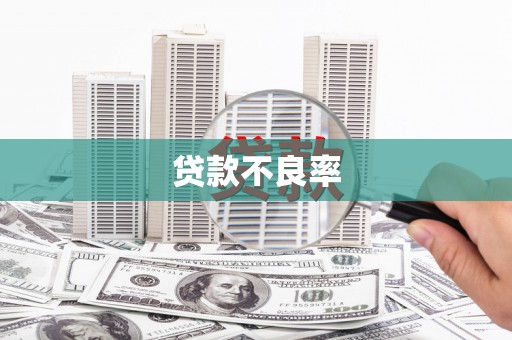 埔里贷款不良率