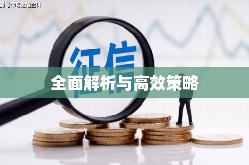 埔里全面解析与高效策略