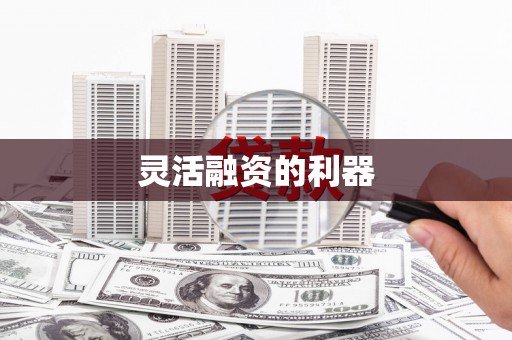 埔里灵活融资的利器