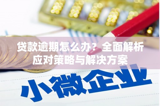 埔里贷款逾期怎么办？全面解析应对策略与解决方案