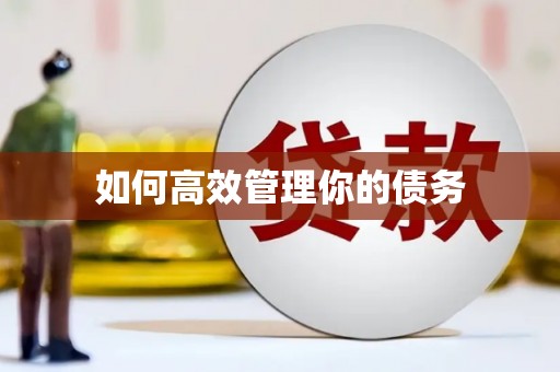 埔里如何高效管理你的债务