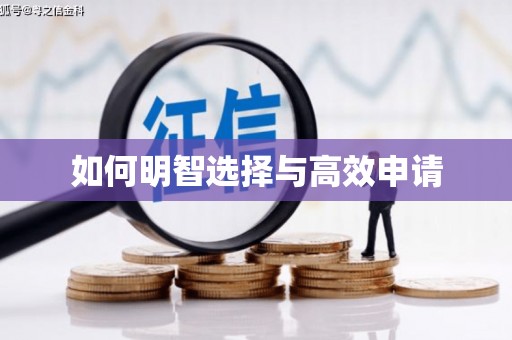 埔里如何明智选择与高效申请