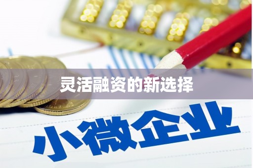 埔里灵活融资的新选择