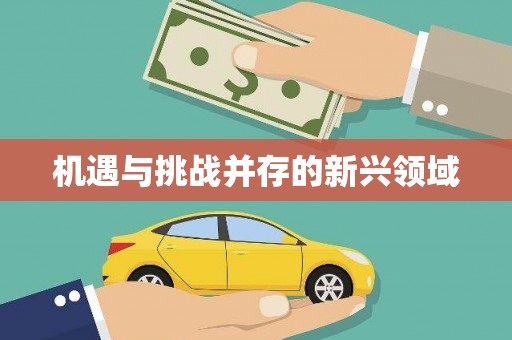 埔里机遇与挑战并存的新兴领域
