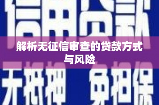 埔里解析无征信审查的贷款方式与风险