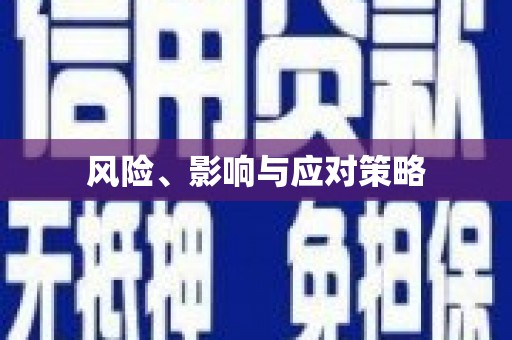 埔里风险、影响与应对策略