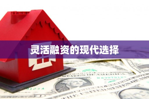埔里灵活融资的现代选择