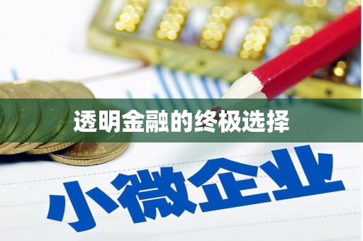 埔里透明金融的终极选择