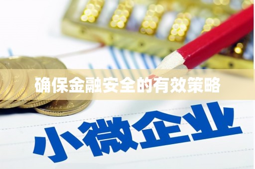 埔里确保金融安全的有效策略