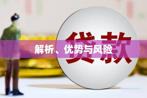 埔里解析、优势与风险