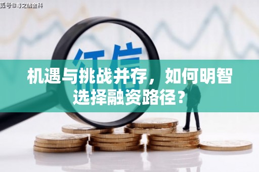 埔里机遇与挑战并存，如何明智选择融资路径？