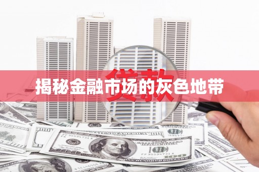 埔里揭秘金融市场的灰色地带