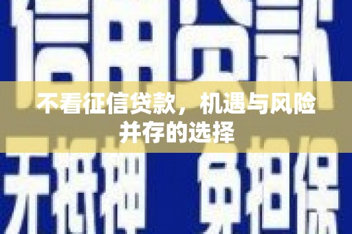 埔里不看征信贷款，机遇与风险并存的选择