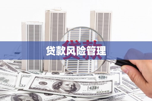 埔里贷款风险管理