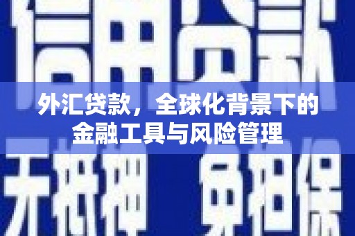 埔里外汇贷款，全球化背景下的金融工具与风险管理