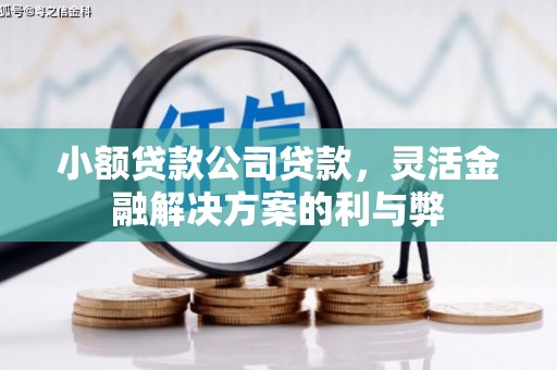埔里小额贷款公司贷款，灵活金融解决方案的利与弊