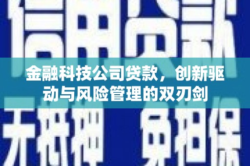 埔里金融科技公司贷款，创新驱动与风险管理的双刃剑